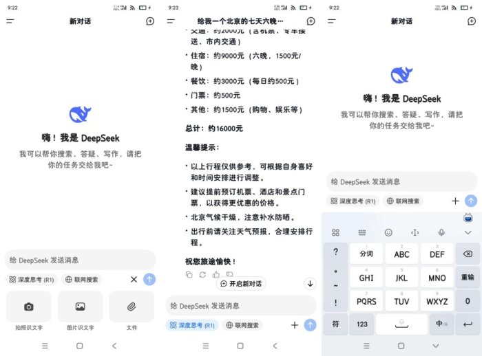 DeepSeeK1.1.5最新升级版满血Ai深度思考